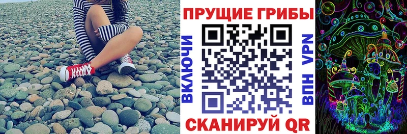 купить закладку  kraken сайт  Псилоцибиновые грибы Magic Shrooms  Борисоглебск 